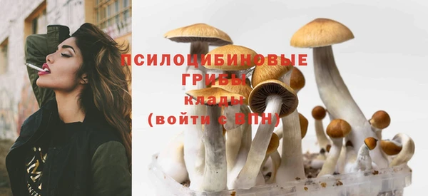 mdma Няндома