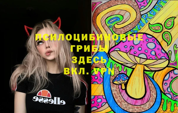 эйфоретик Новокубанск