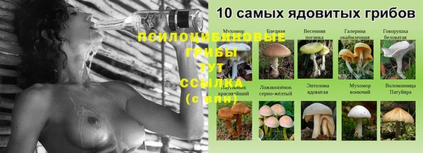 соль ск Нягань