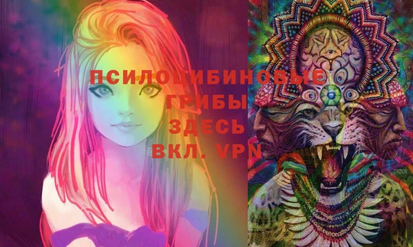 mdma Няндома